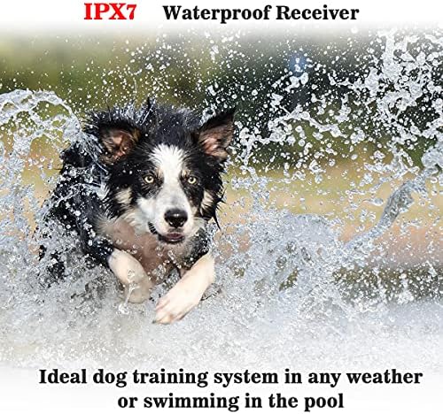 צווארון אימוני כלבים של Petjoy, צווארון כלבים עם מרחוק נטען, ללא צווארון הלם עם 3 מצבי אימונים, עד 2800 רגל טווח מרחוק, IPX7 אטום למים לכלבים גדולים בינוניים גדולים
