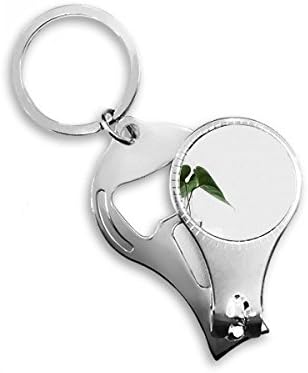 צמח עלה ירוק של סימפול צילום צילום ציפורניים ניפר טבעת מפתח שרשרת שרשרת פתיחת בקבוקי קוצץ