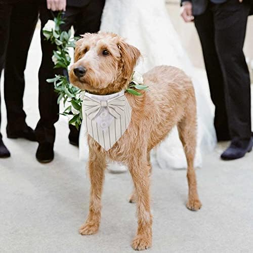 כלב טוקסידו בנדנה צווארון כלבים מתכוונן עם עניבת פרפר כלב לבוש לחתונה כלב תלבושת רשמית יום הולדת קוספליי מסיבת קוספליי קטן לכלבים גדולים כלבים גדולים חיות מחמד כלב קשת בנדנה